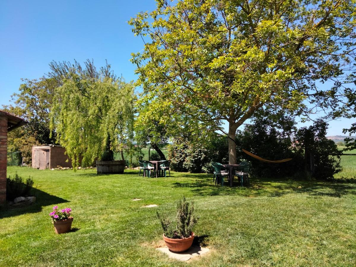 Podere Alberello Torrita di Siena Exteriör bild
