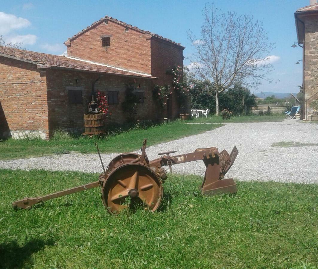 Podere Alberello Torrita di Siena Exteriör bild