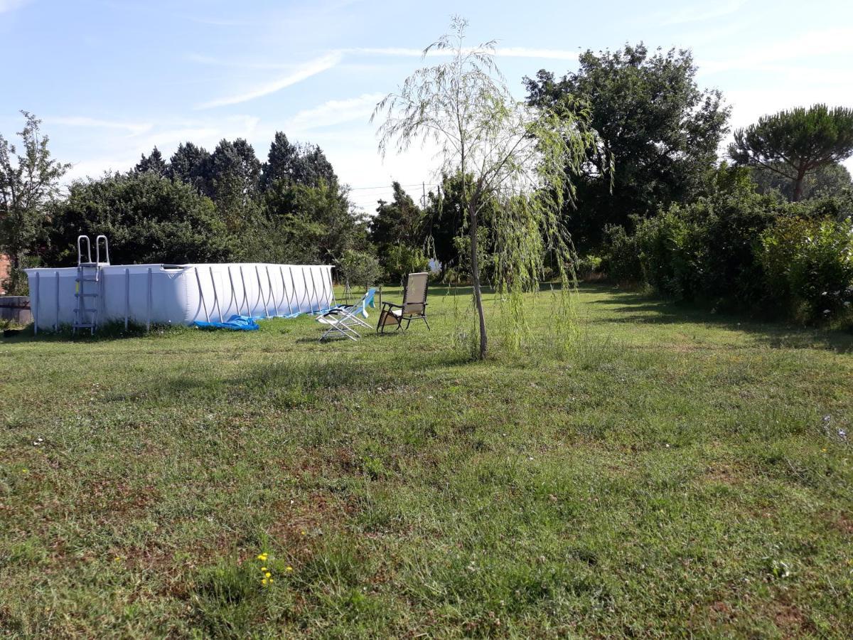 Podere Alberello Torrita di Siena Exteriör bild